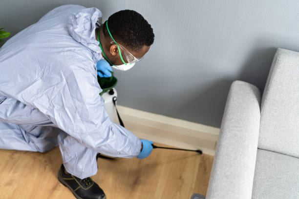 Best Pest Prevention Services  in East Port Orchard, WA